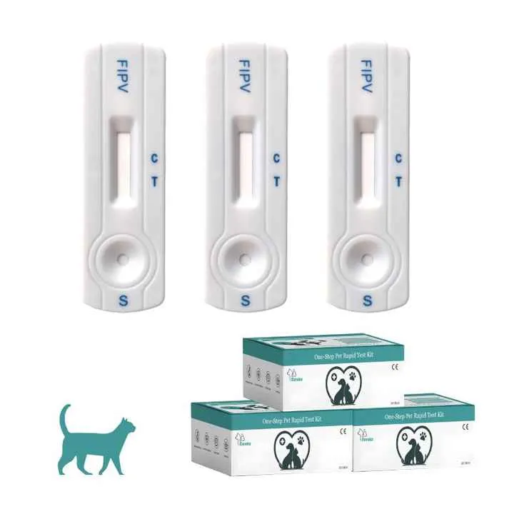 حيوان القط اختبار سريع القطط اختبار التهاب الصفاق المعدي اختبار FIPV FIP Ag عدة القط Cat Animal Rapid Test Feline Infectious Peritonitis Test FIPV FIP Ag Kit Cat