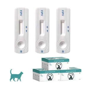 حيوان القط اختبار سريع القطط اختبار التهاب الصفاق المعدي اختبار FIPV FIP Ag عدة القط Cat Animal Rapid Test Feline Infectious Peritonitis Test FIPV FIP Ag Kit Cat