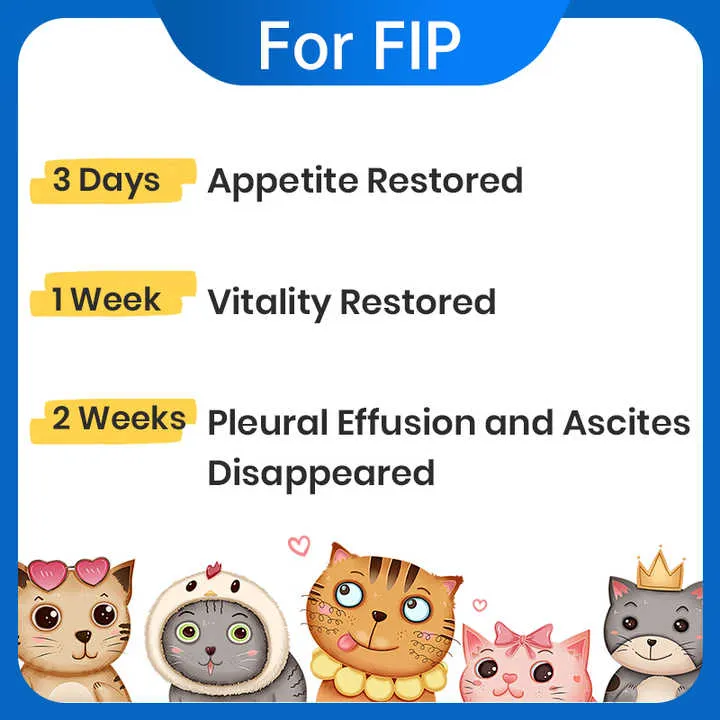 حيوان القط اختبار سريع القطط اختبار التهاب الصفاق المعدي اختبار FIPV FIP Ag عدة القط Cat Animal Rapid Test Feline Infectious Peritonitis Test FIPV FIP Ag Kit Cat