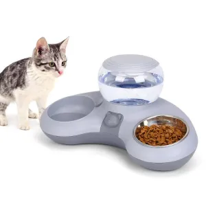 Automatic Water Dispenser & Double Cat Bowl Set