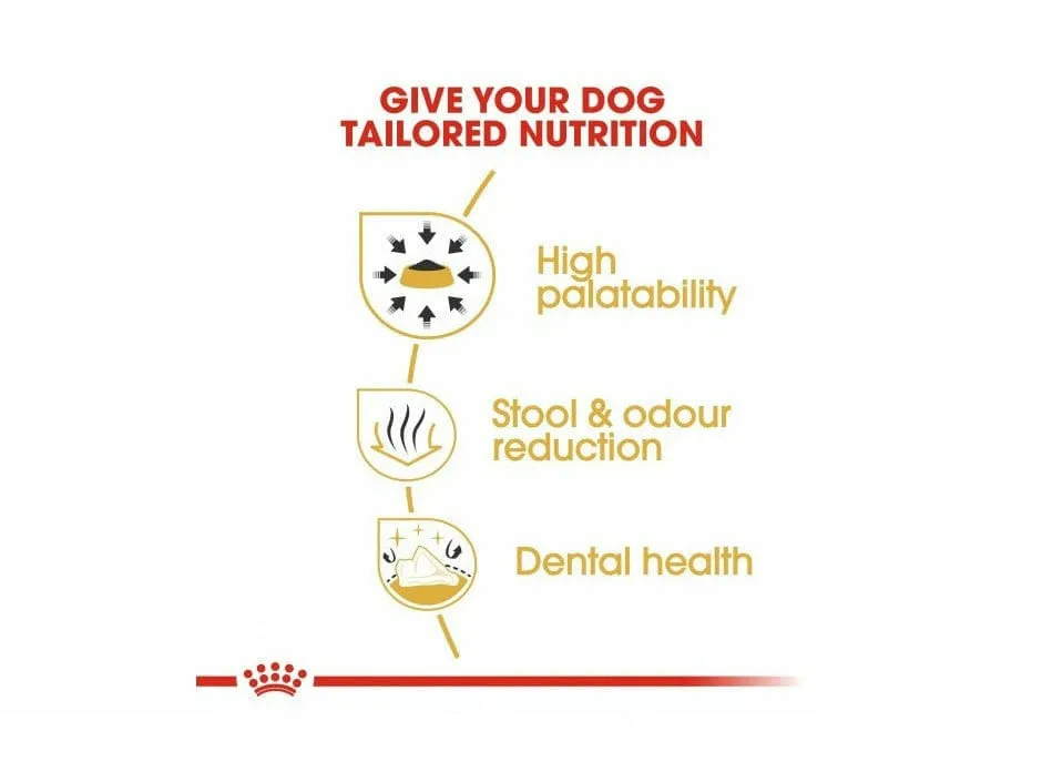 Breed Health Nutrition Chihuahua Adult 1.5 KG