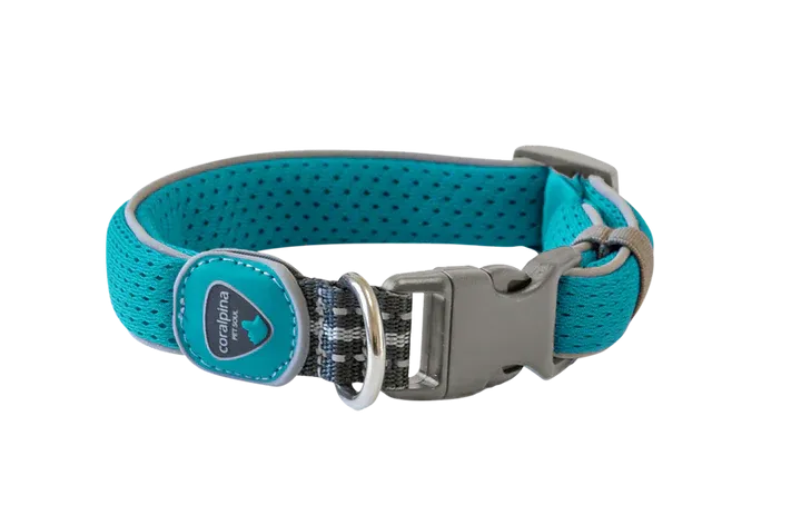 Coralpina Cinquetorri Dog Collar - Turquoise