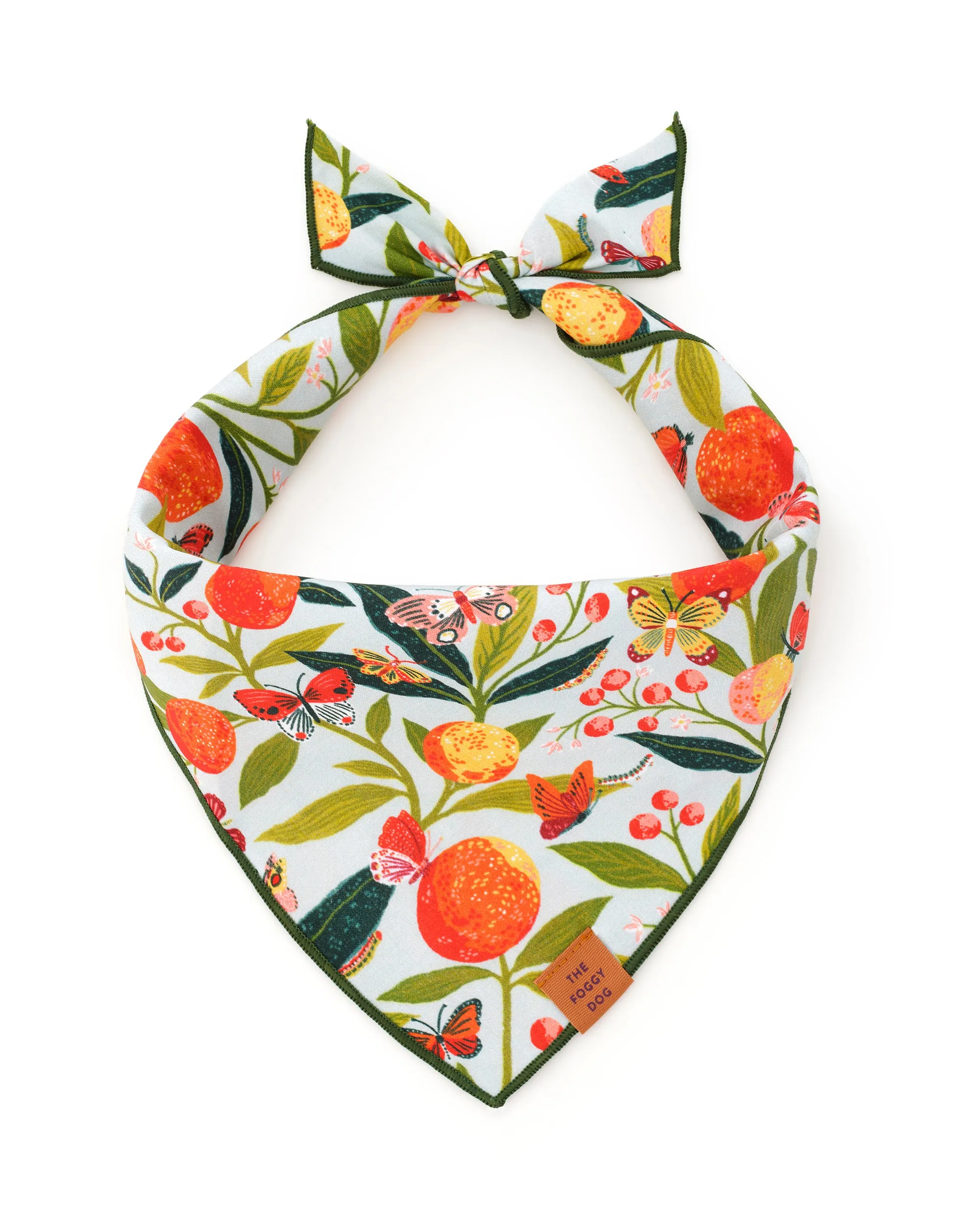 PF x The Foggy Dog Butterfly Grove - Short Set & Dog Bandana Bundle - Soft Blue