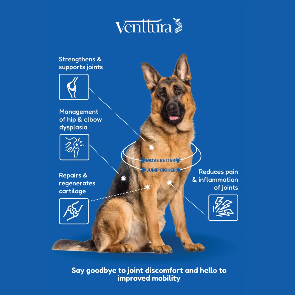 Venttura Flexi Plus Hip and Joint Chewable Tablets for Dogs